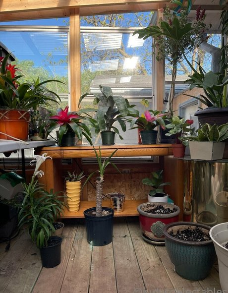 judythegreatfreepage OnlyFans öffentliche Fotos OnlyFans