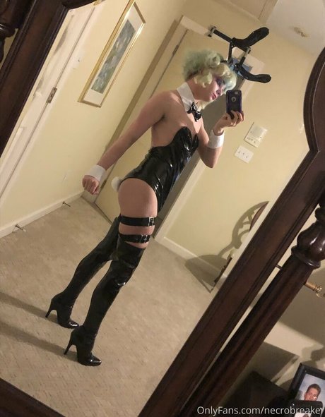 addyrally Nur für Fans