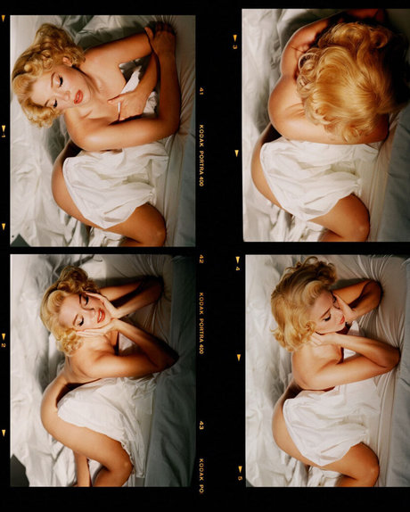 analprinzessin onlyfans heiß XXX Porträt