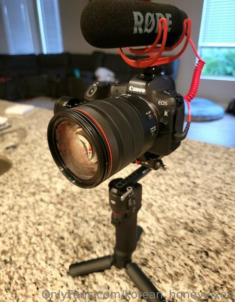 korean honeyvixen OnlyFans Pornografie