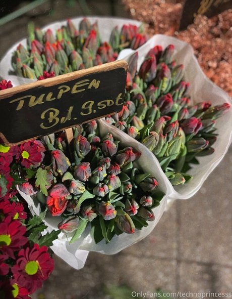 technoprincesss OnlyFans Leak