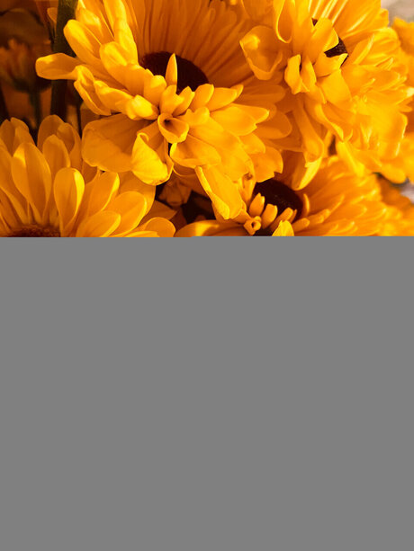 Desi Grace OnlyFans Leak