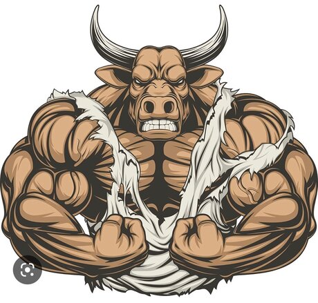 Beefybaltbear OnlyFans Gratis-Inhalte