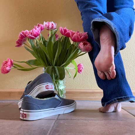 Queen of Vans Nacktbilder auf OnlyFans