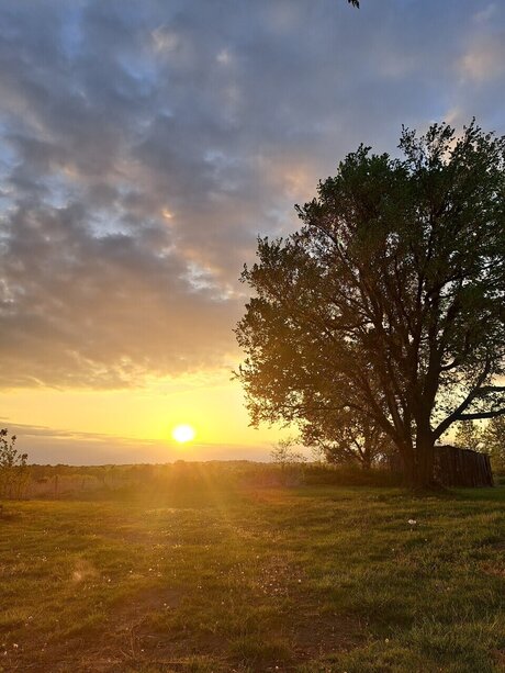 FunWFreckles OnlyFans Joi