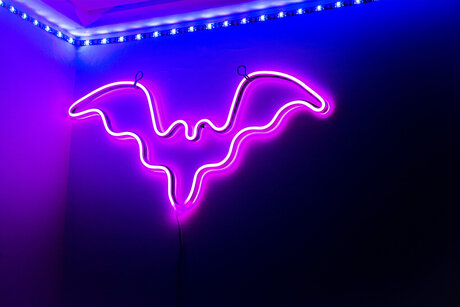 Karma sutra_ OnlyFans nackte Brüste