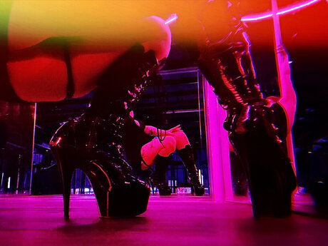 Ava Bees Bumbles OnlyFans Pornografie gratis