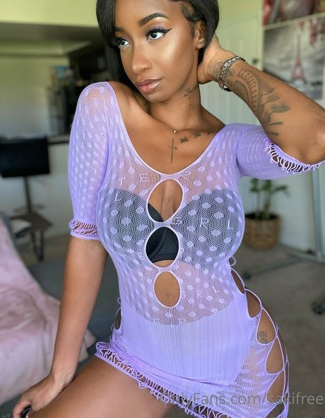 sakifree Leaked OnlyFans Content