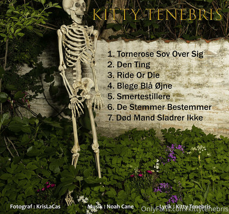 kittytenebris OnlyFans Beiträge