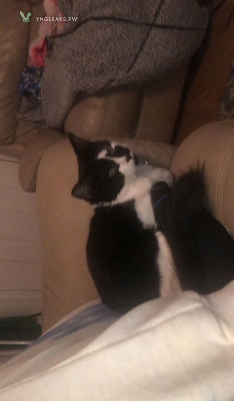 Vicky Escobar OnlyFans Pornografie