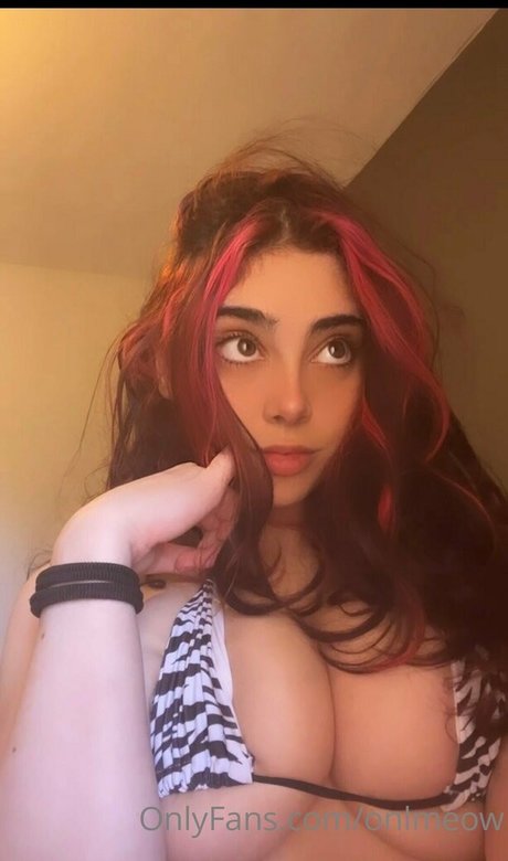 onlmeow OnlyFans Inhaltstyp