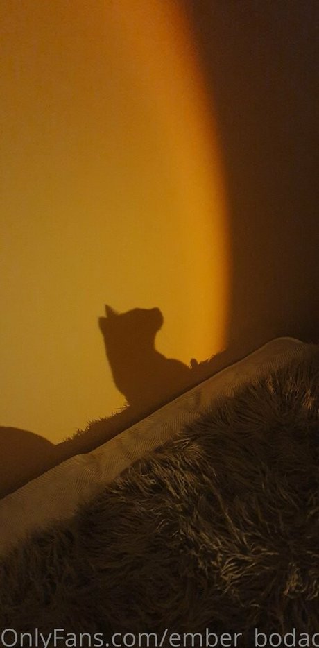 ember bodacious Nackt OnlyFans Porn