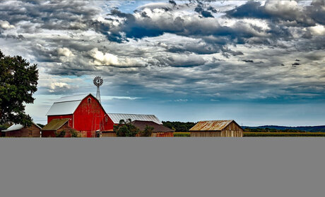 Pearl s Babes_ OnlyFans Sextape geleakt