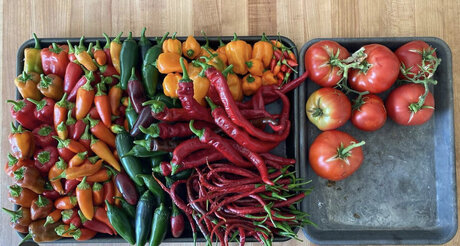 GardenPapi OnlyFans geleakte Bilder