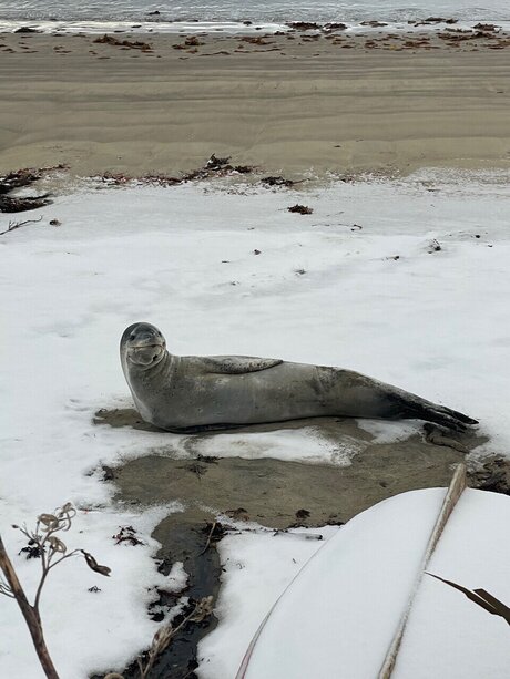 u389531284 Nacktbilder von OnlyFans