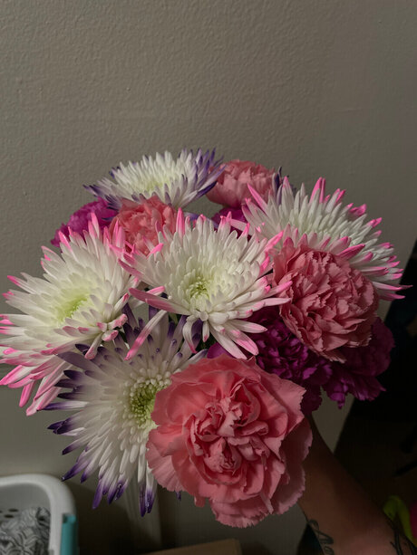 Alana hope_ OnlyFans Leaks Sex