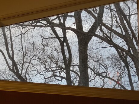 Trans M lf NurlyFans-Brüste