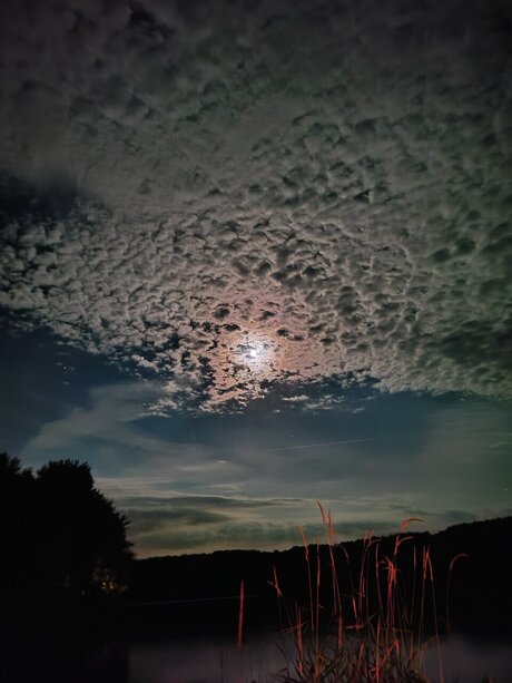 Sunshine Marie OnlyFans Pornografie geleakt