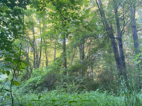 Tattoobabie08 FREE Nacktbilder geleakt OnlyFans