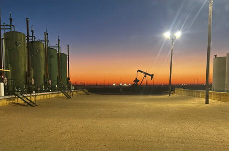 Silver Fox Nacktbilder OnlyFans Geleakt