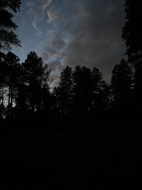 T Angel OnlyFans Pornografie