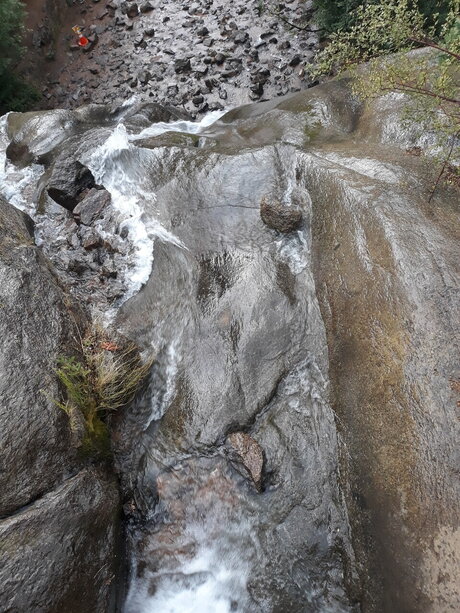 TrippieGypsy OnlyFans Leak