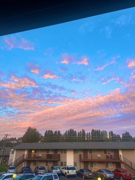 Sativa Syd OnlyFans Nackt Leak