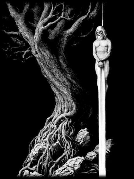 V1K1NG Gratis OnlyFans Inhalte