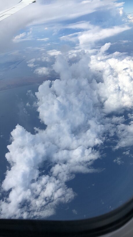 NiCholee OnlyFans nackt