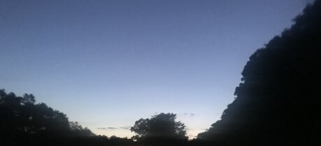 Feet Pic Provider Leaked OnlyFans Content