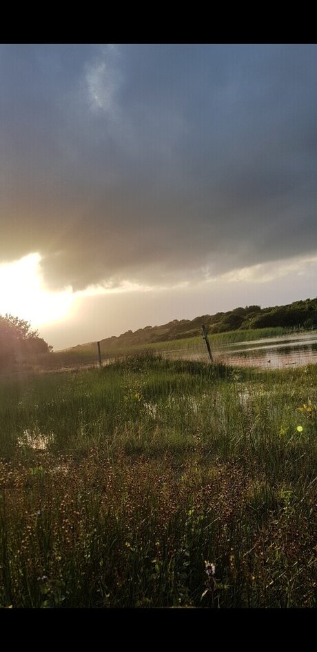 EliasYoung Nackt Leaks OnlyFans