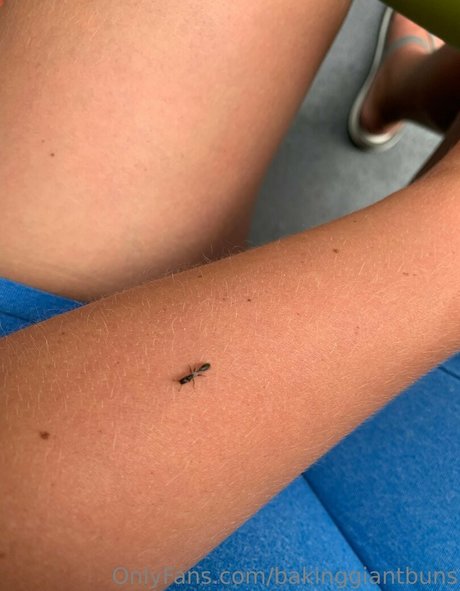 bakinggiantbuns OnlyFans Fotos