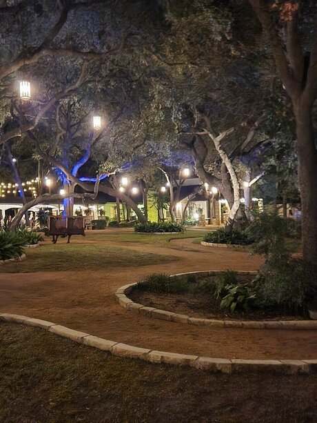 Socialtiger OnlyFans Leak