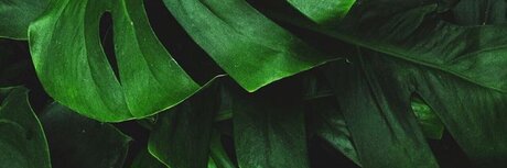 Mr J Titten OnlyFans