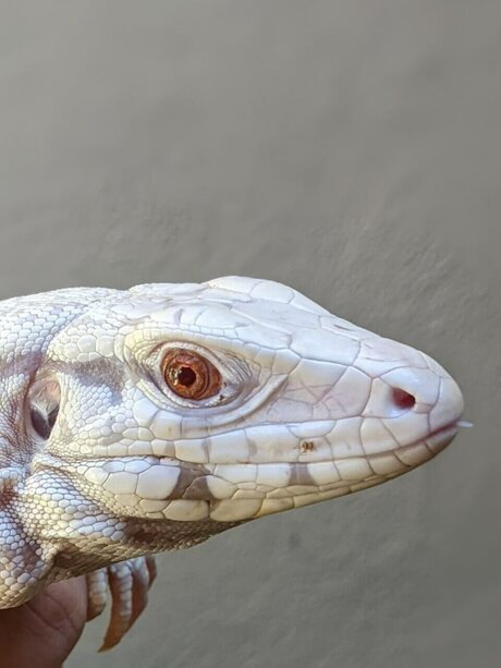 heatandhoney Heiße OnlyFans Inhalte