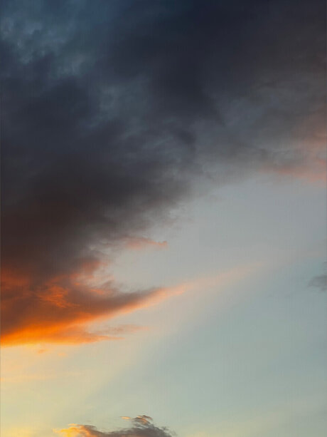 Marcus Fills Nacktbilder von OnlyFans