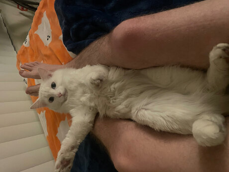 Michi Fink Nacktbilder auf OnlyFans