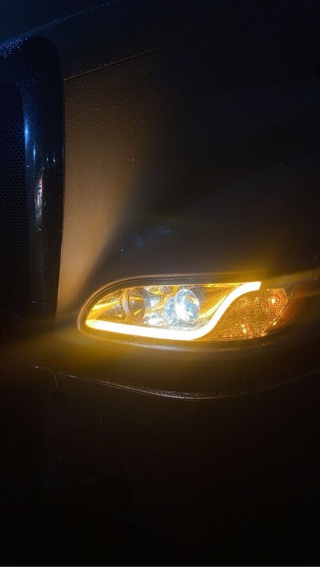 Ceecee DeVille Nacktbilder von OnlyFans