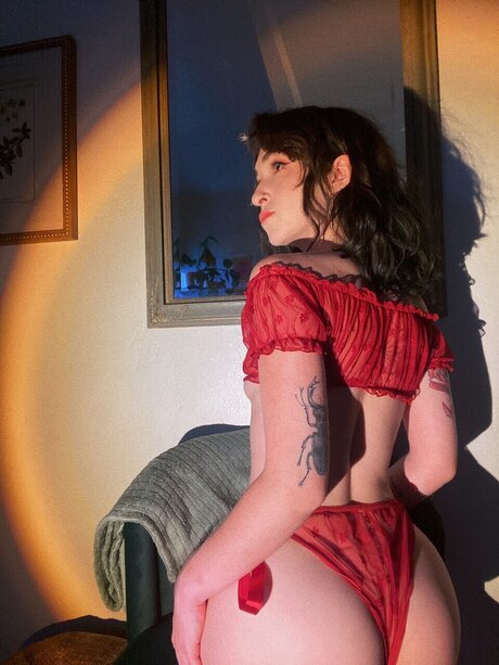 snakeinyourboot OnlyFans Archiv