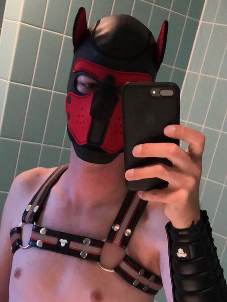 Dutch Top Nacktbilder OnlyFans geleakt