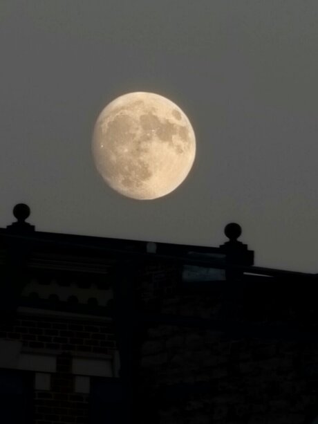 _LustfulMex_ Auf OnlyFans