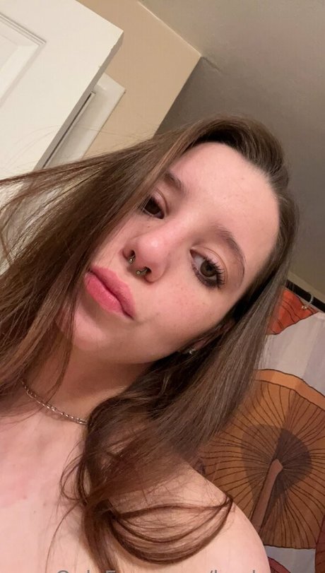 kaylaacee OnlyFans Pornografie