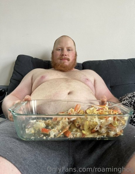 roaminghog Nacktbilder geleakt OnlyFans Nacktporno