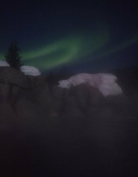 flowerpower87 Neue OnlyFans Leaks