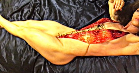 fiercelyfitrose OnlyFans