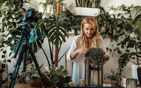 more than palnts OnlyFans Sex