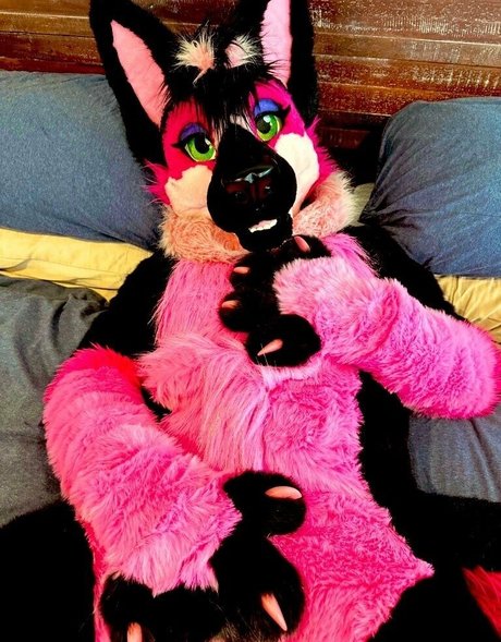 anejo xxx kaii OnlyFans