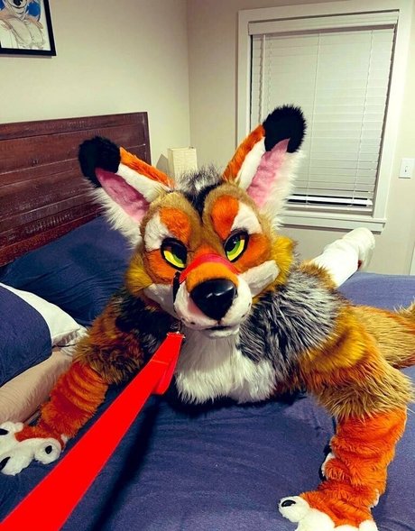 anejo xxx kaii OnlyFans kostenlos