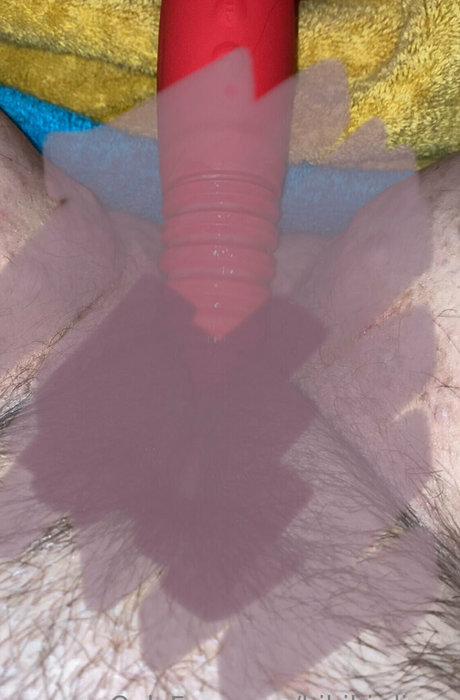 bibibirdiexx Profilbild