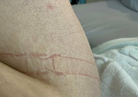 bibibirdiexx OnlyFans Nacktbilder